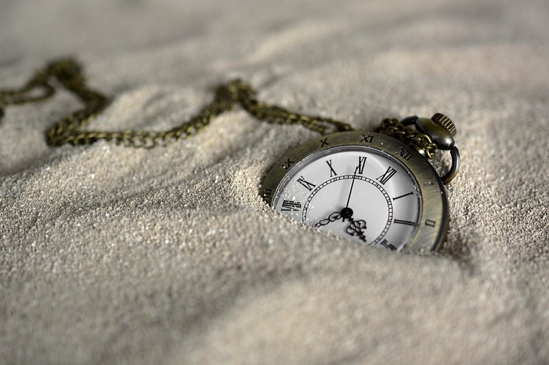 Time Traveler's Haven